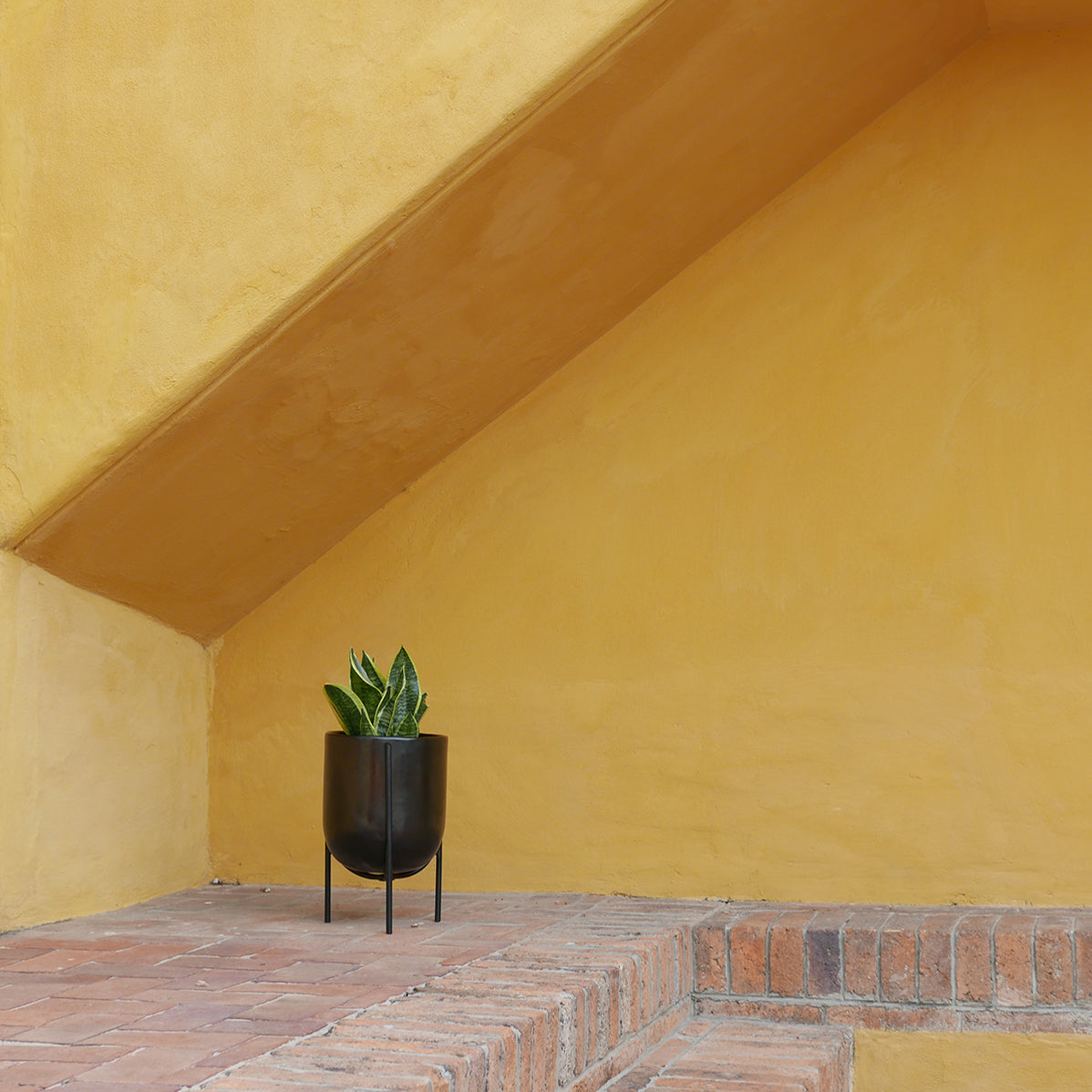 CANTARO MACETA BARRO NEGRA Tributo cantaro-maceta-barro-negra-tributo